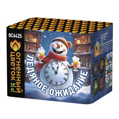 Ледяное ожидание